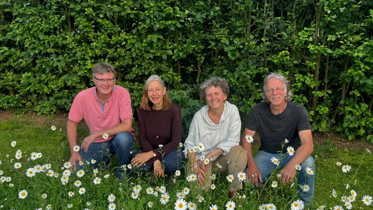 Das Quartett 2zu2 auf einer sommerlichen Blumenwiese